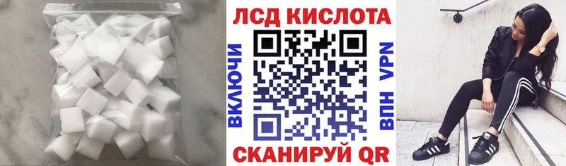 omg tor  закладка  Дзержинский  Лсд 25 экстази кислота 