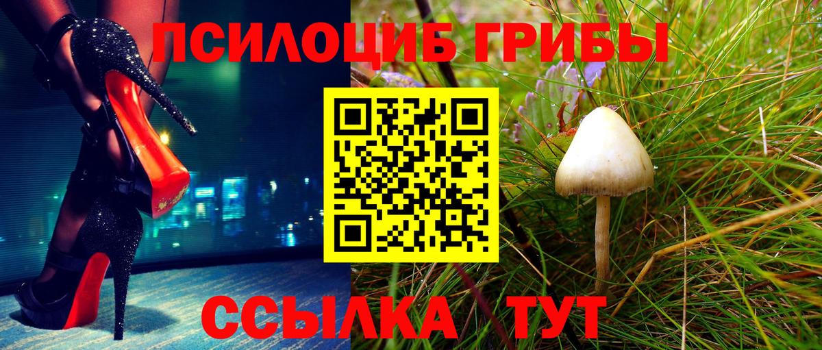 Дзержинский  Галлюциногенные грибы Magic Shrooms  Вход с VPN 