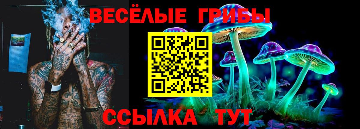 Галлюциногенные грибы Psilocybine cubensis Дзержинский